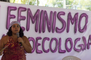 Plenária reforçou a posição de que é urgente a luta para posicionar a mulher dentro da agricultura e agroecologia. Foto: Fábio Caffe